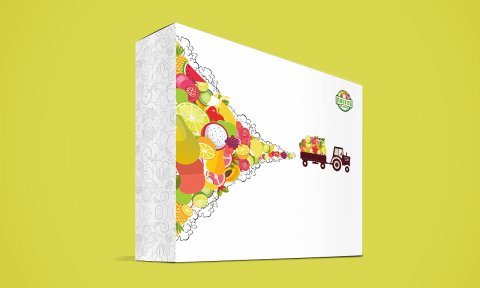 水果包裝盒效果圖2